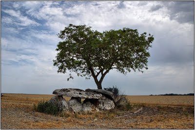 Dolmen de Vaon