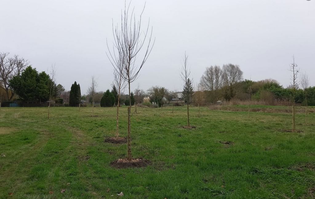 Pêcheurs et promeneurs profiteront dès l’été des arbres plantés.